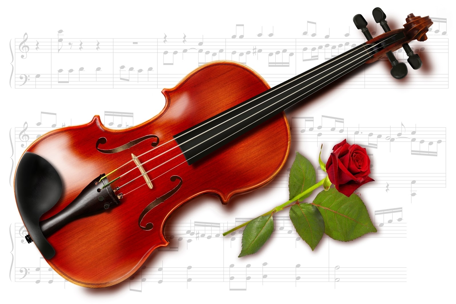 Rebecca Raimondi suona il violino Quarestani Città di Cremona