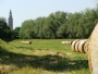 vista suggestiva del Torrazzo