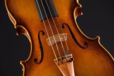 violino Benedicte Friedmann