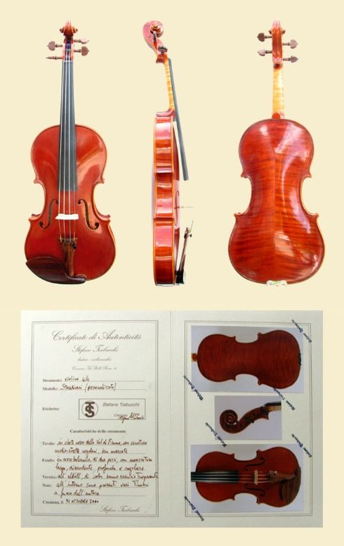 violino di Stefano Trabucchi - violin maker