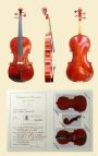 violino di Stefano Trabucchi - violin maker