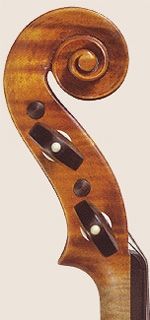 particolare di violino Grisales