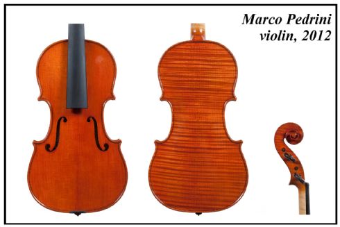 Marco Pedrini violino