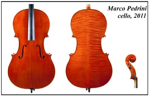 Marco Pedrini violoncello 2011