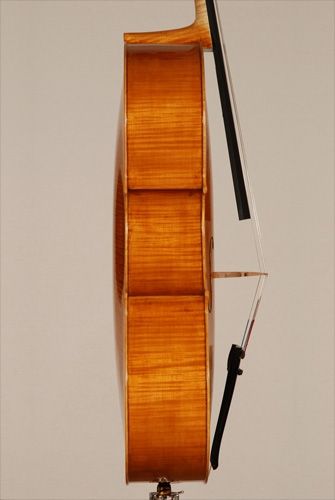 Alessandra Pedota - violoncello mod. Stradivari