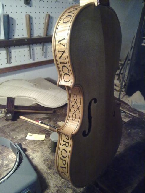 modello violino Tadioli