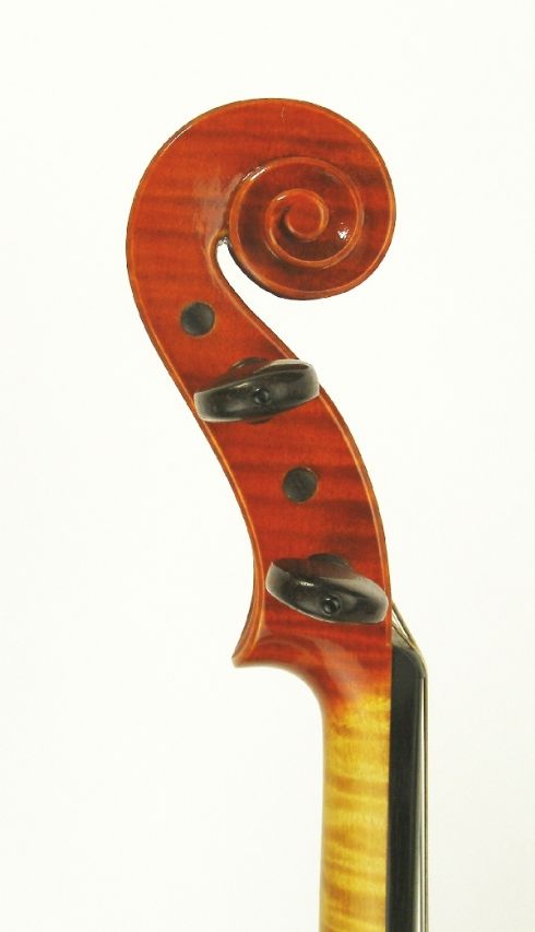 scroll di violino Angelo Sperzaga