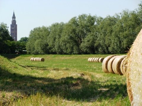 vista suggestiva del Torrazzo