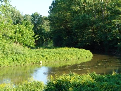 ansa del Cavo Cerca a Cremona