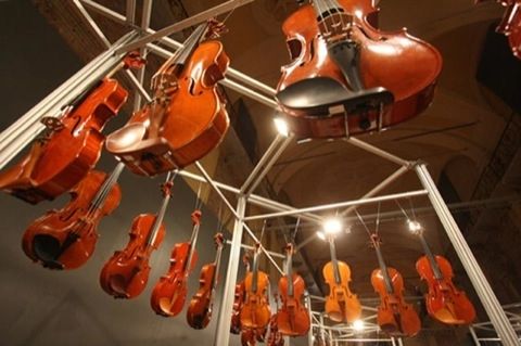 Violini a Cremona