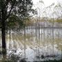 Da Stagno Lombardo a Isola Pescaroli