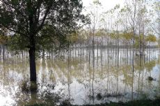 Da Stagno Lombardo a Isola Pescaroli