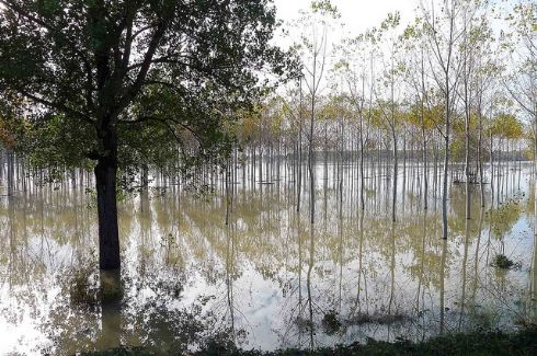 scorcio del fiume Po a Isola Pescaroli